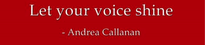 shine on supplemental college admissions essays