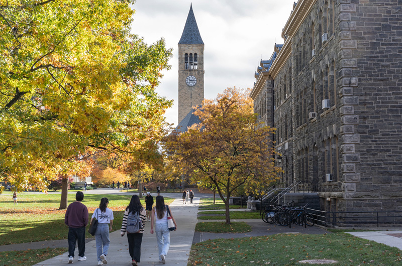 TTA: College & Ivy League Admissions Counseling