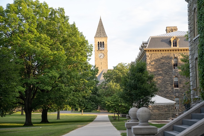 which-Cornell-college-to-apply-to